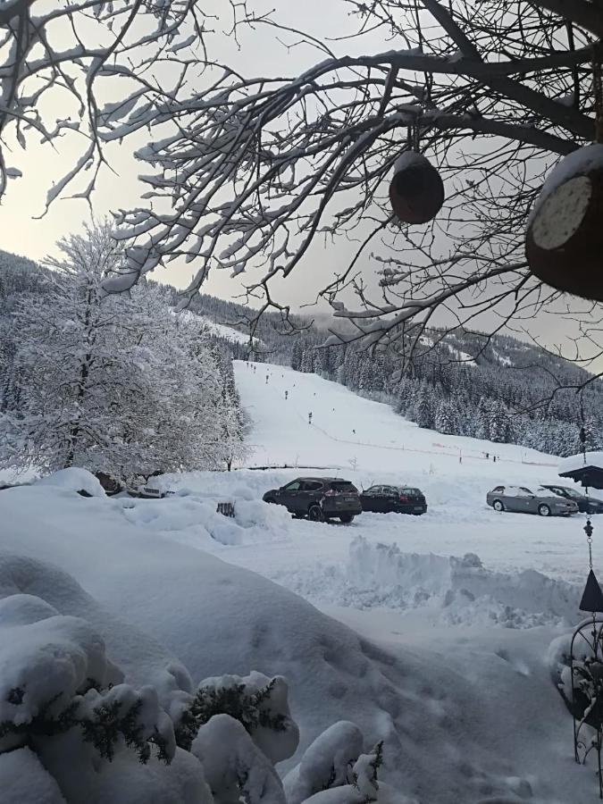 Pension Walchauhof Flachau Exterior foto